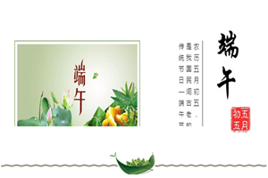 新得利·(中国)有限公司官网