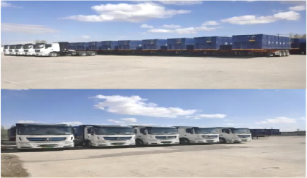 新得利·(中国)有限公司官网