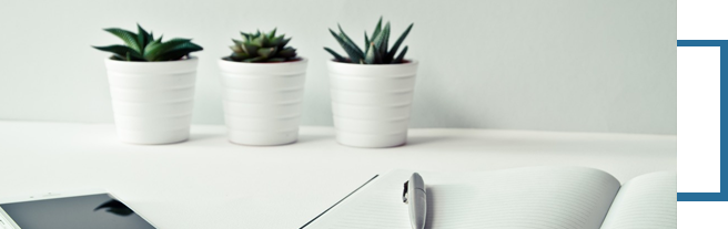 新得利·(中国)有限公司官网