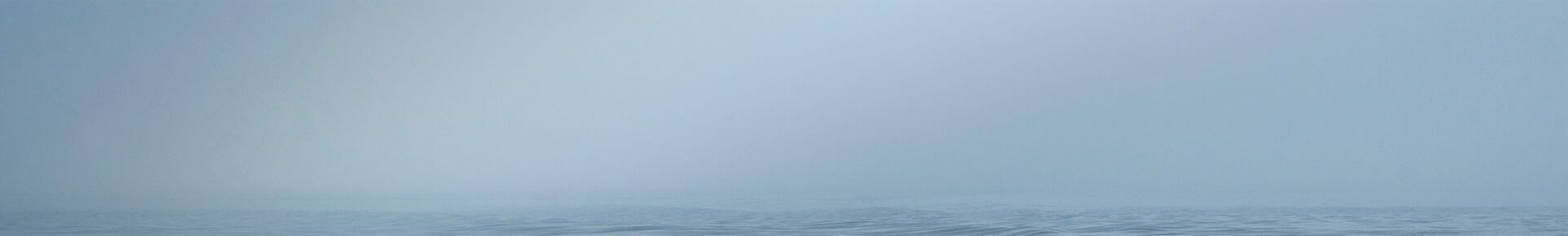 新得利·(中国)有限公司官网